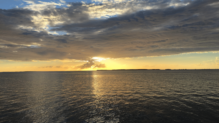 446415 vastola legal 768x432