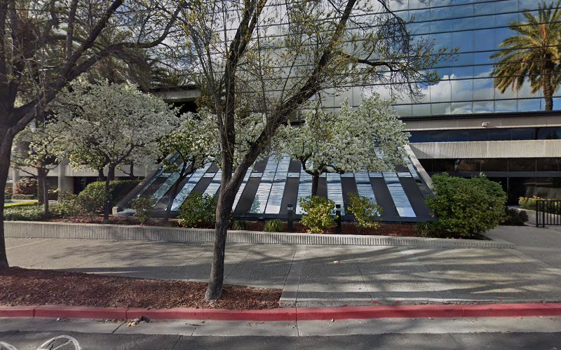 447605 vicuna flores law concord
