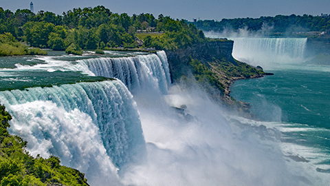 448124 viola cummings lindsay