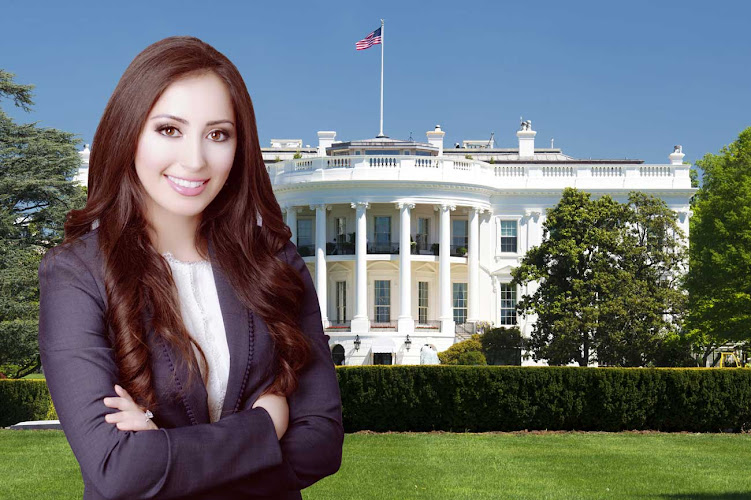 448238 virginia law center for immigration and citizenship pllc