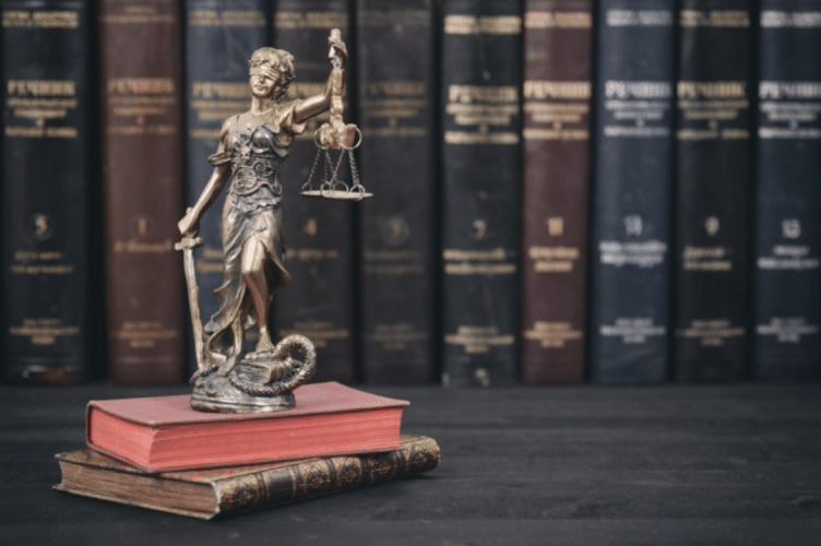 448483 vivian demas attorney at law