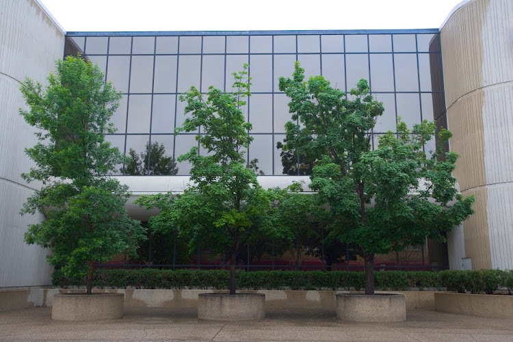 448607 vogel law firm