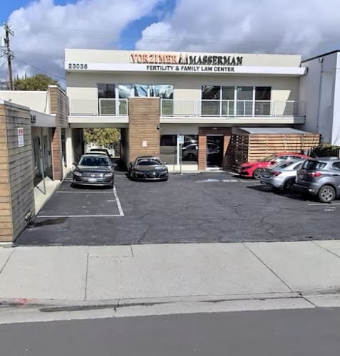 448877 vorzimer masserman 8211 fertility family law center
