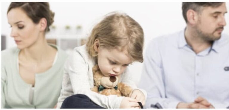 449021 vz family law 768x369