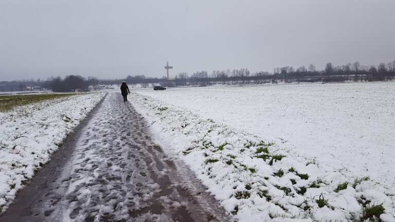 449055 w drescher associates 768x432