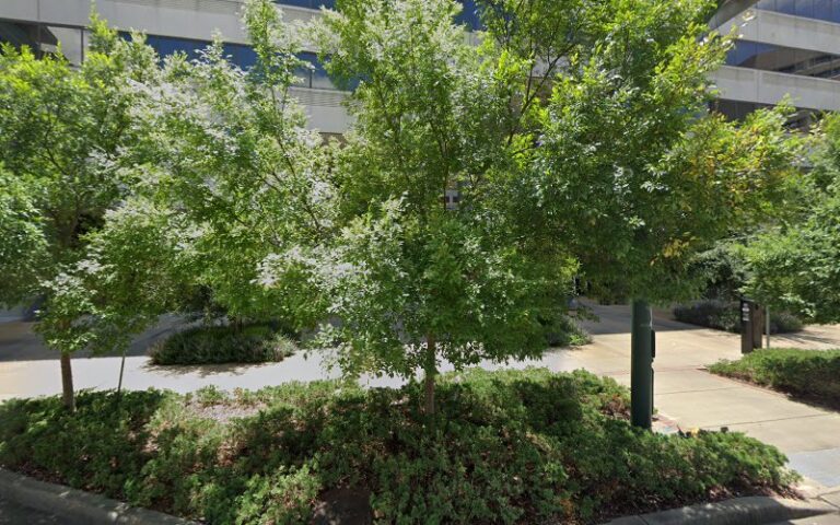 450507 wallace michael b 768x480