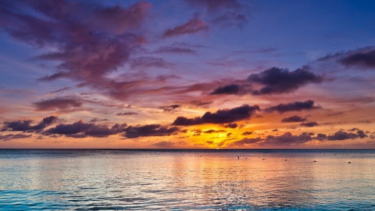 450843 walt shurden elder law 768x432