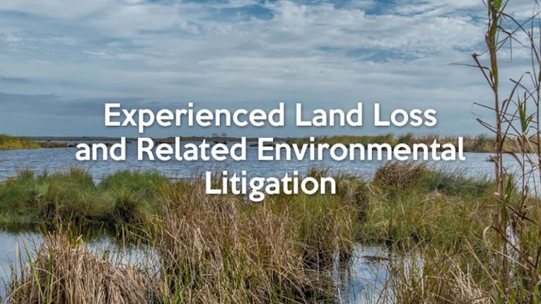 451211 waltzer wiygul garside 768x432