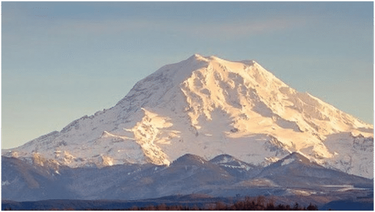452118 washington family law group pllc 768x434