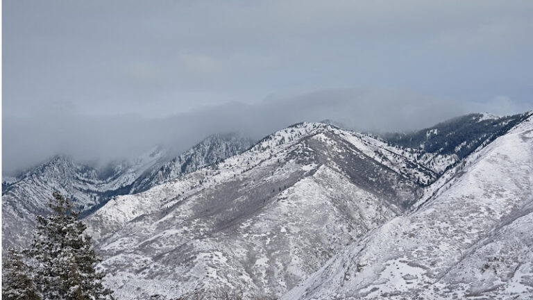 452686 watts law 768x432