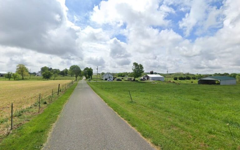 452940 wayne thomas 768x480