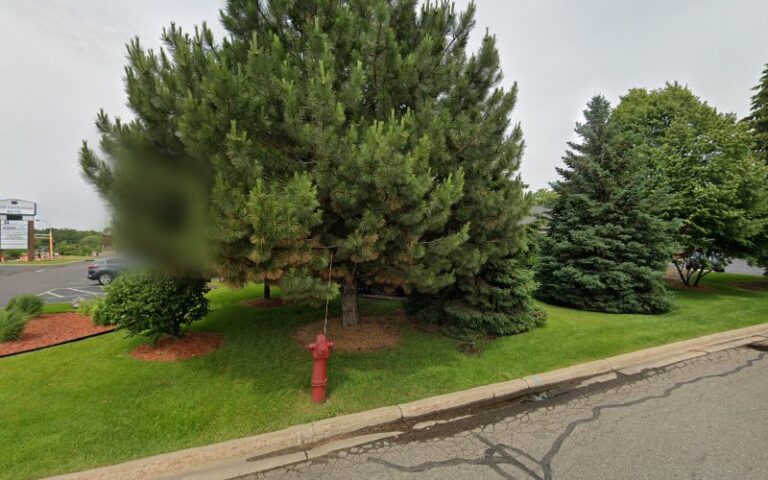 453186 webb allen r 768x480