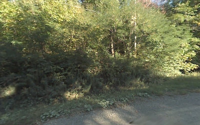 453464 webster frank r