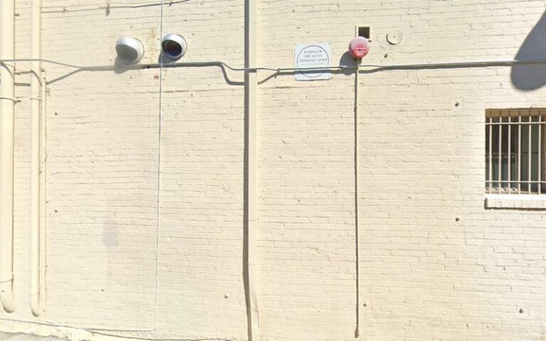 453602 wegman levin 768x480