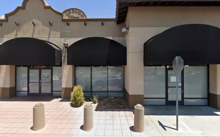 453604 wegman levin 768x480