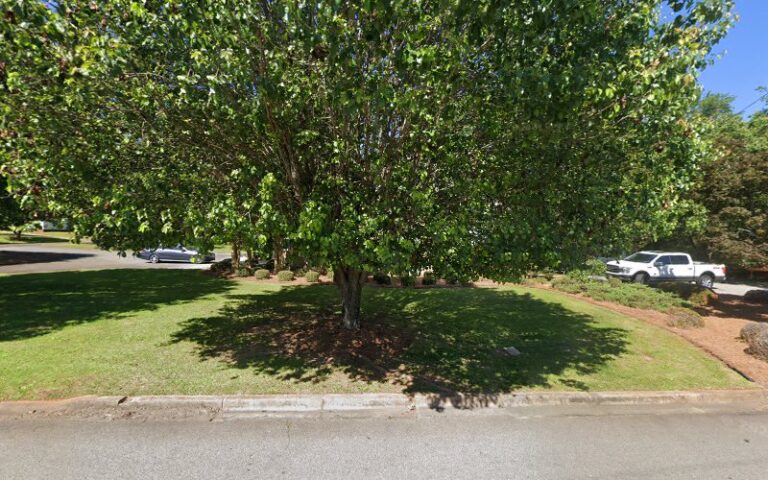 455874 wheeler de ann 768x480