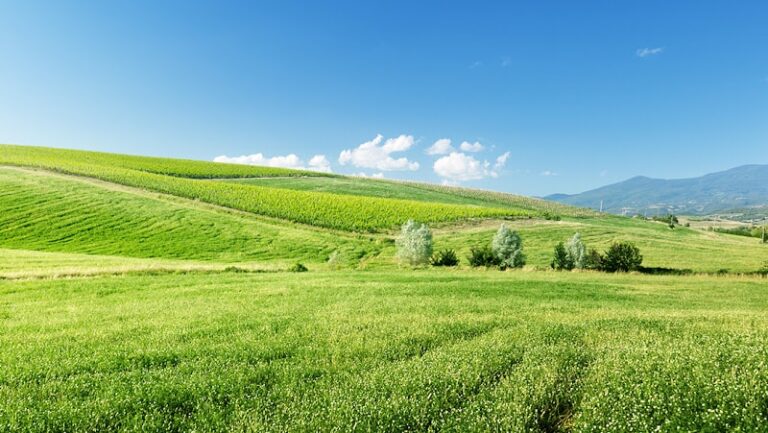 455980 whims legal group plc 768x433