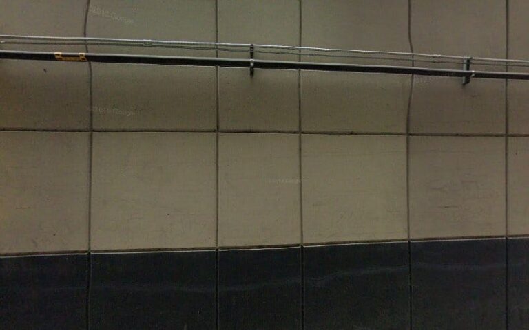 456115 white shepherd 768x480