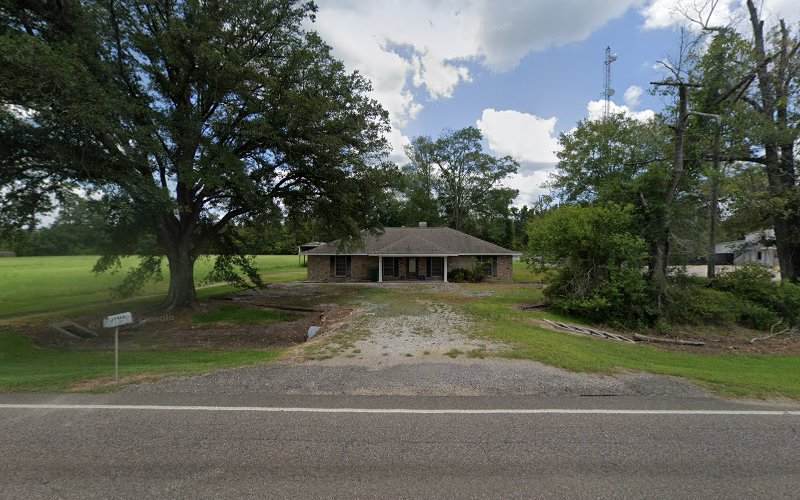 456411 whitehead michael w