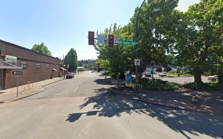 457100 wiener lambka ps 768x480