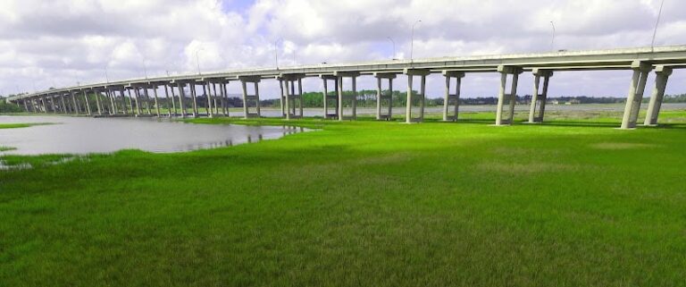 457292 wilcox law firm ponte vedra law group 768x321