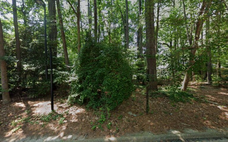 459313 williams hannon pllc 768x480