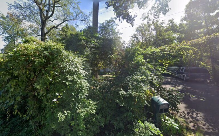 460317 wilson parlett 768x480