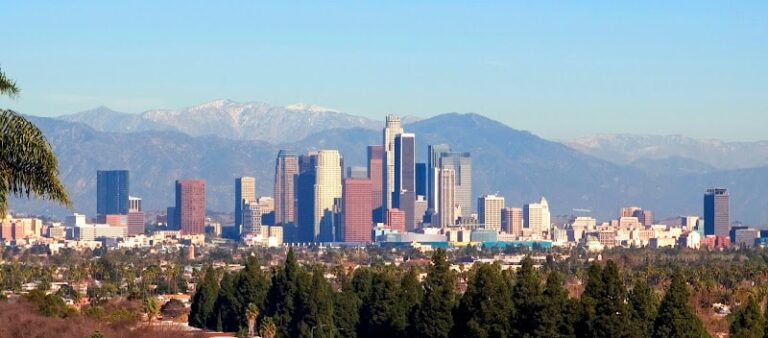 460432 wilson elser 768x338