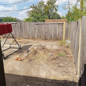Feature image