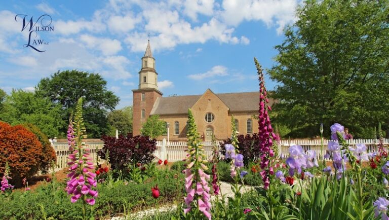 460605 wilson law plc 768x434