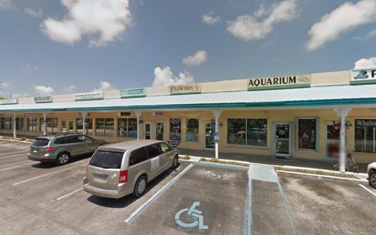 462123 wolfe stevens pllc 768x480