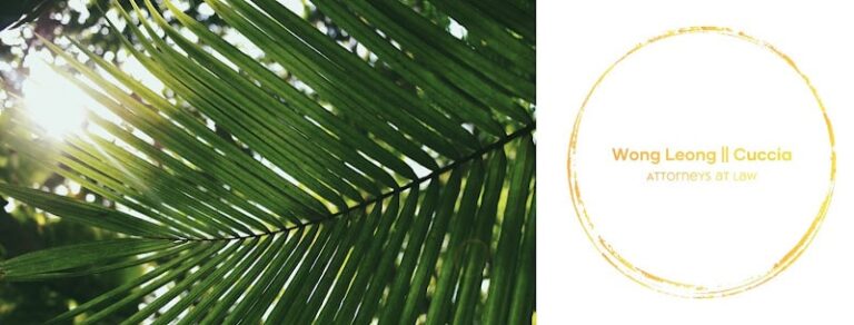 462424 wong leong cuccia 768x292