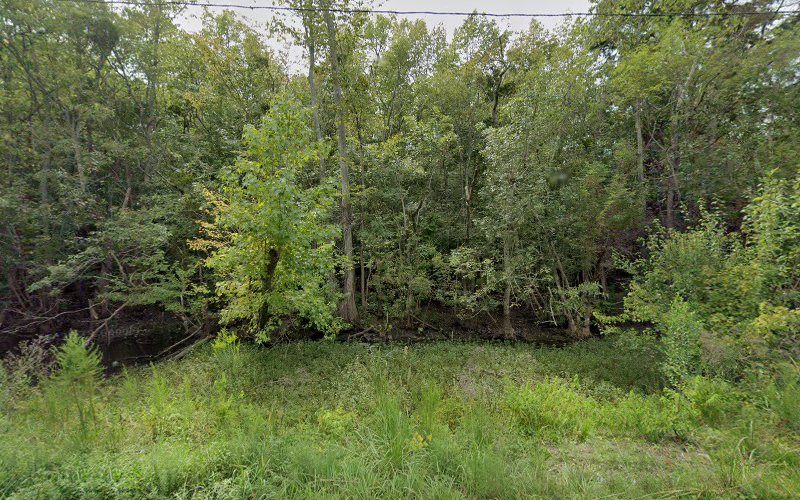 462941 woodward jr lawrence h