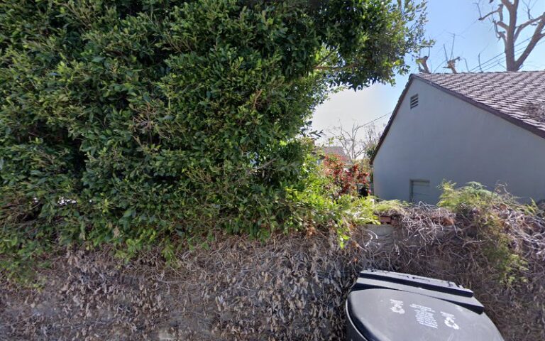 464917 younessi ramin r 768x480