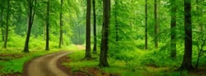 Feature image