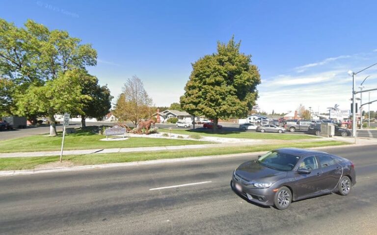 465205 young irish debra 768x480