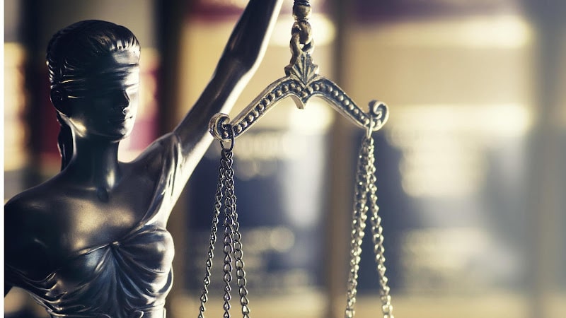 465223 youngs law firm p.a
