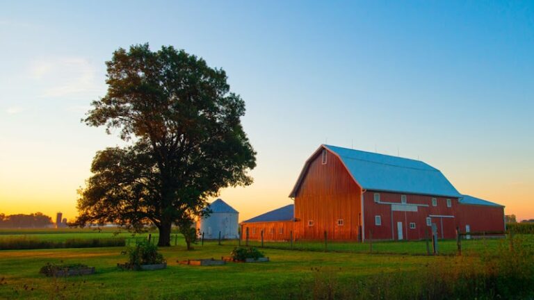 465290 your land title 768x432