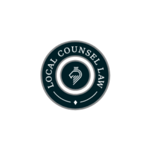 Local Council LAw 1 300x300