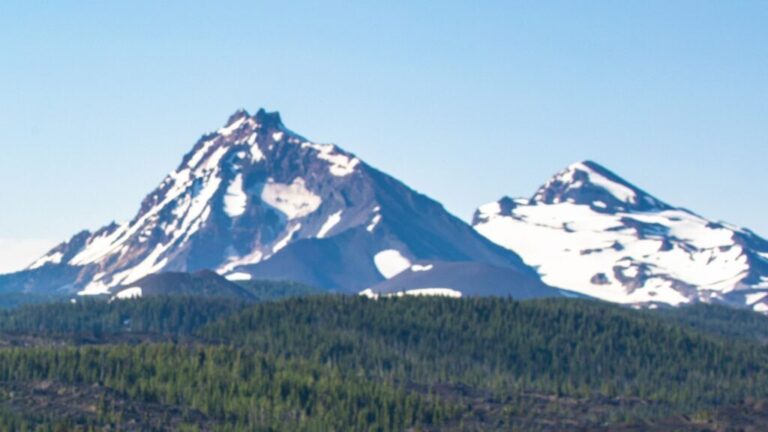 Untitled design 1 4 768x432