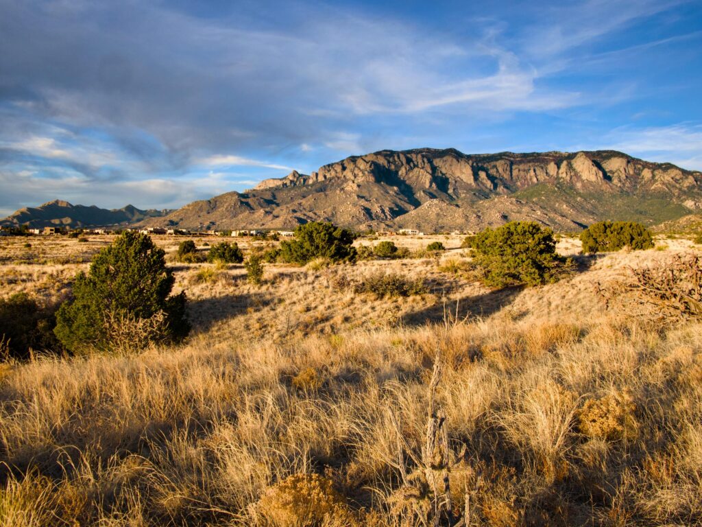 Employment Law attorneys in New Mexico