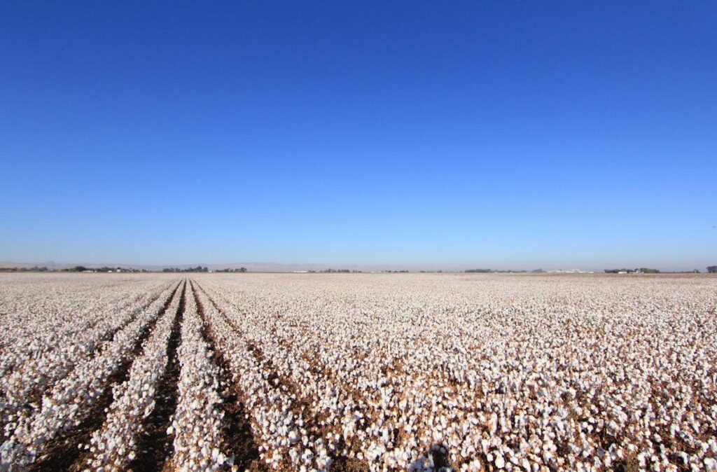 Fresno California Central Valley farm field H 2A employment lawyer wage rule